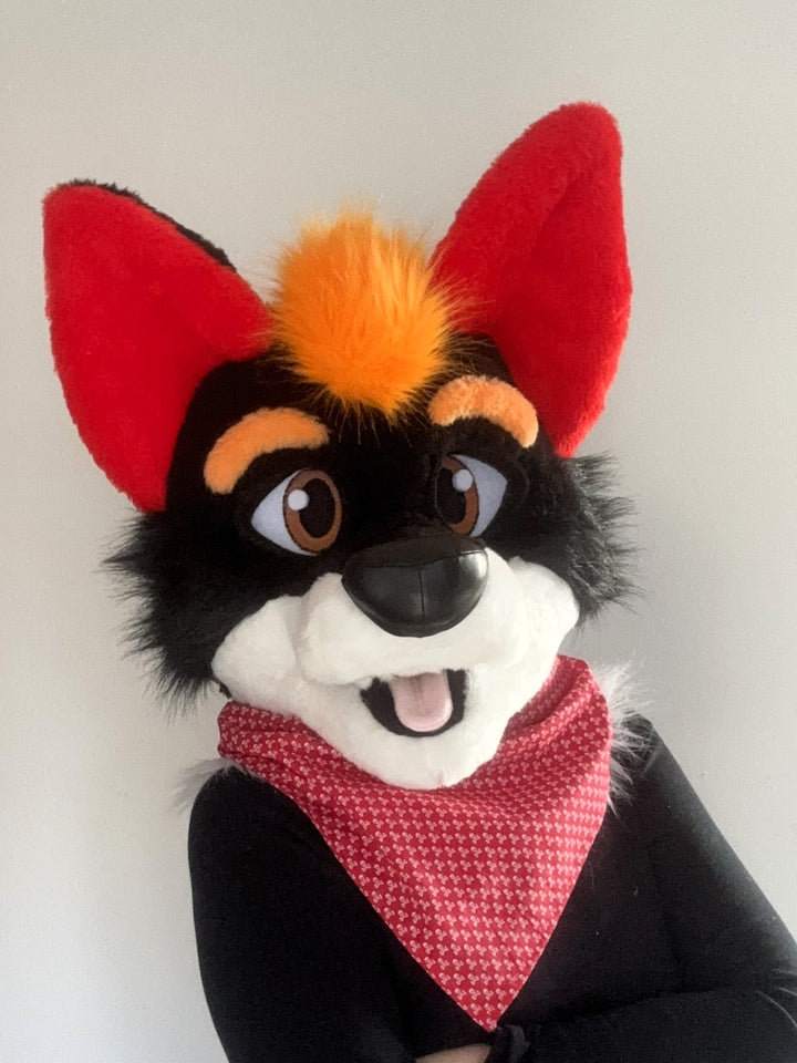 Black fox fursuit head and  tail premade Oneandonlycostumes