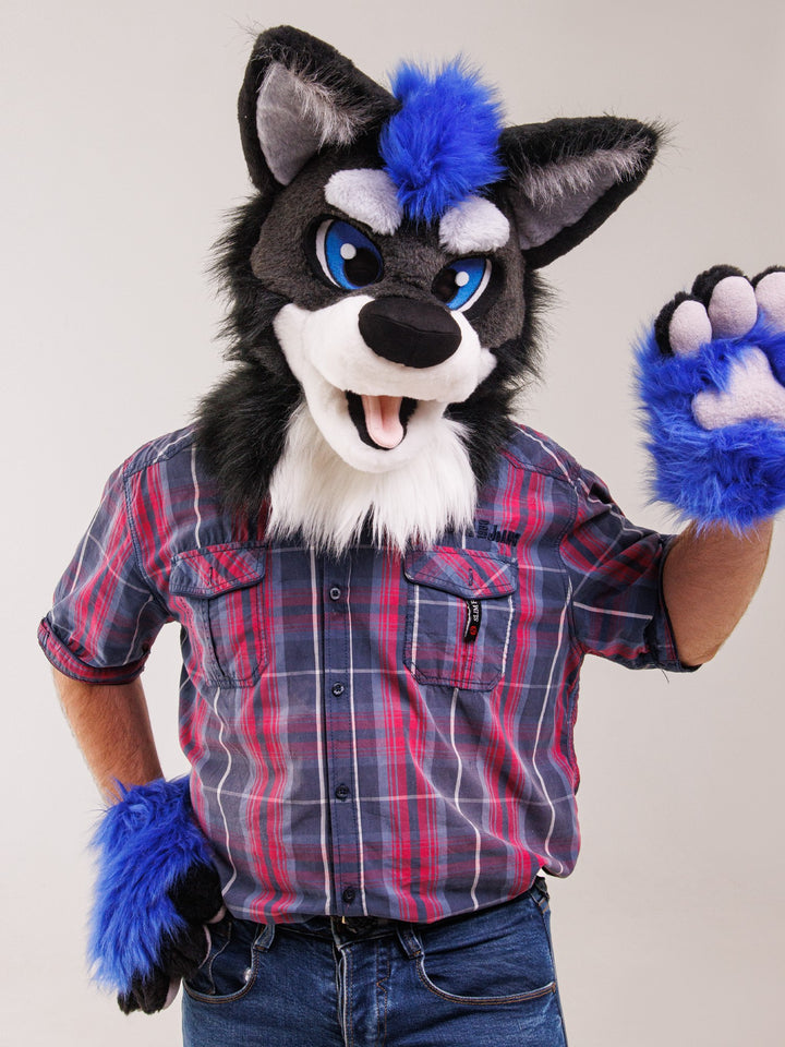 Black blue wolf husky Fursuit Set – Head, Hand Paws & Tail, One Size M/L for Furry Cons & Cosplay