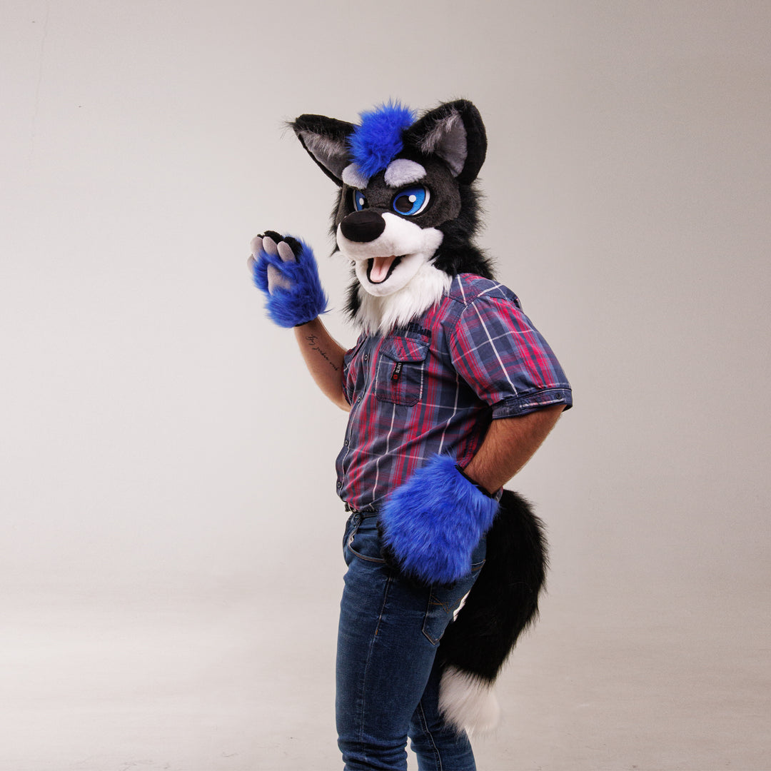 Black blue wolf husky Fursuit Set – Head, Hand Paws & Tail, One Size M/L for Furry Cons & Cosplay