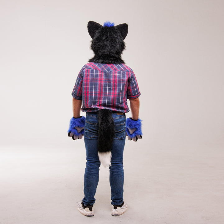 Black blue wolf husky Fursuit Set – Head, Hand Paws & Tail, One Size M/L for Furry Cons & Cosplay
