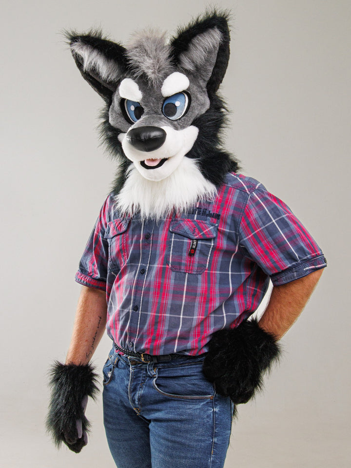 Gray husky wolf fursuit head, hand paws and tail for sale Oneandonlycostumes