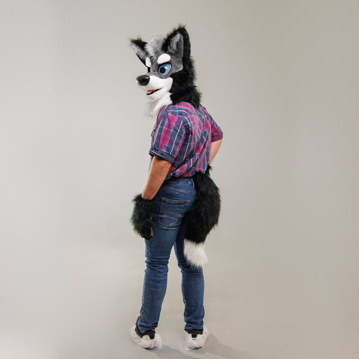 Gray husky wolf fursuit head, hand paws and tail for sale Oneandonlycostumes