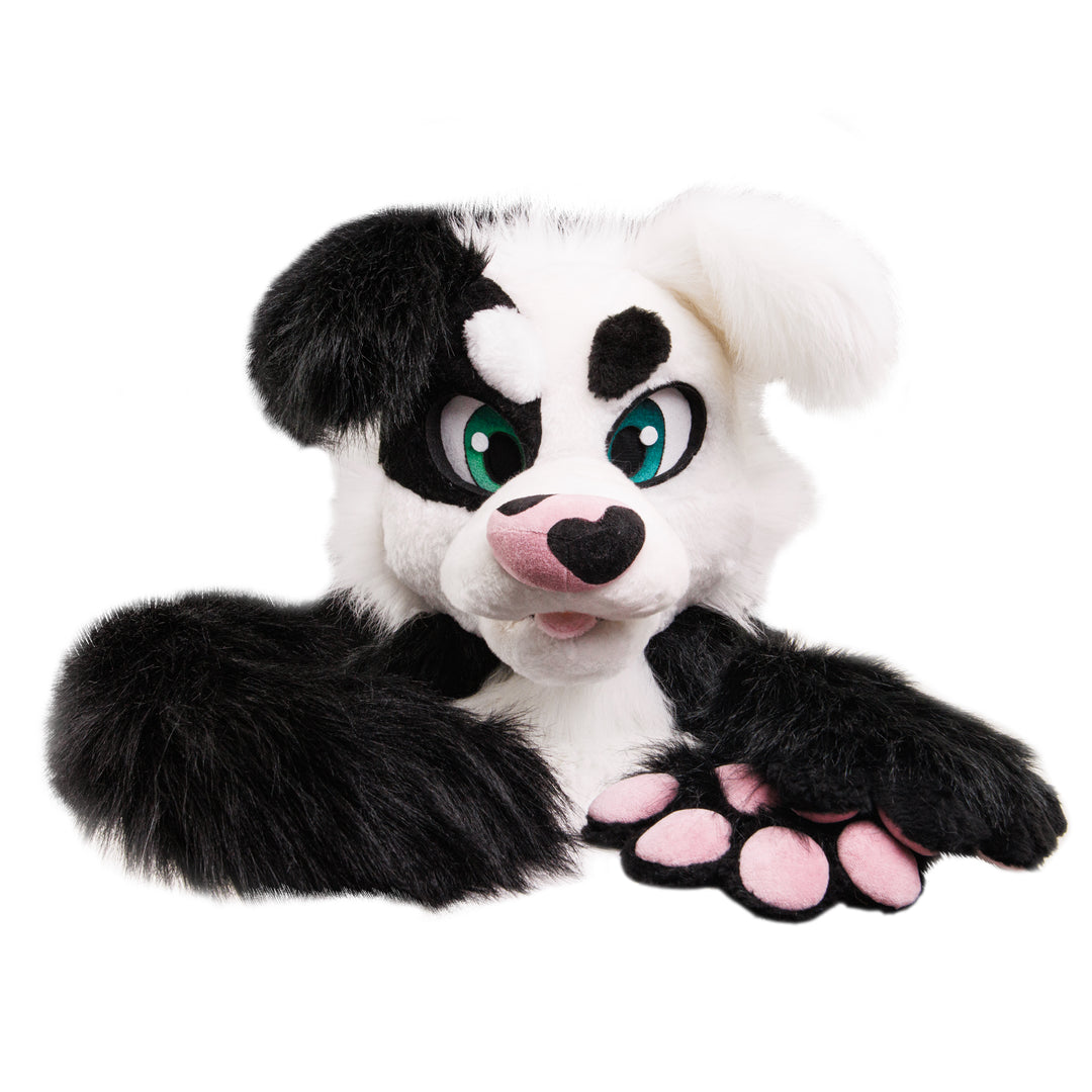 Black and White Border Collie Dog Fursuit Set – Head, Hand Paws & Tail, One Size M/L for Furry Cons & Cosplay