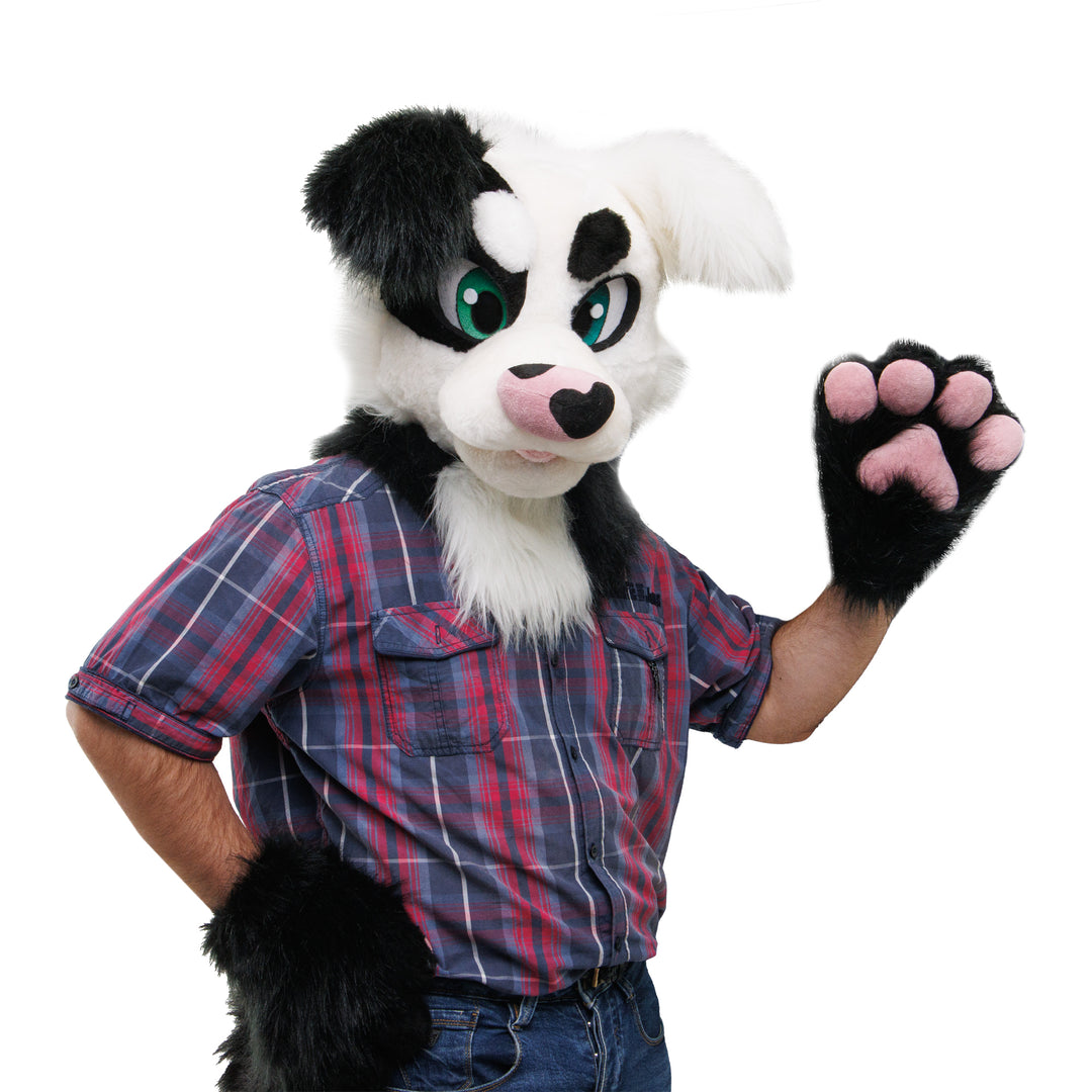 Black and White Border Collie Dog Fursuit Set – Head, Hand Paws & Tail, One Size M/L for Furry Cons & Cosplay
