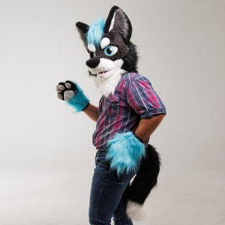 Teal turquoise wolf husky fursuit plus size - head, hand paws, tail for sale