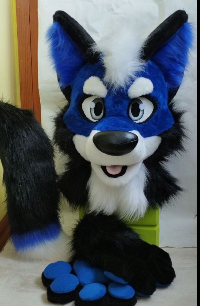Blue wolf husky fursuit plus size - head, hand paws, tail for sale