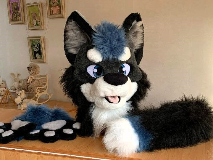 XL teal wolf husky fursuit head, hand paws and tail for sale