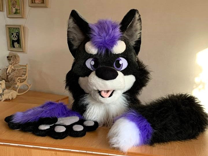 XL teal wolf husky fursuit head, hand paws and tail for sale