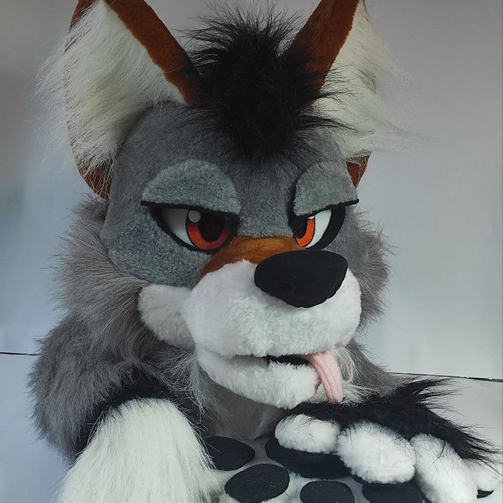 SALE 20%OFF Gray ginger wolf husky fursuit head, hand paws, tail - XL size PREMADE UA