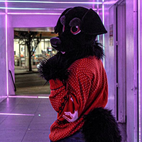 Black Labrador Dog Fursuit Set – Head & Tail, One Size M/L for Furry Cons & Cosplay