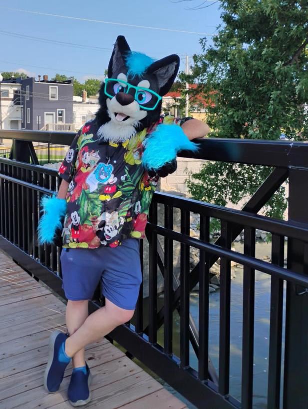 Teal turquoise wolf husky fursuit plus size - head, hand paws, tail for sale