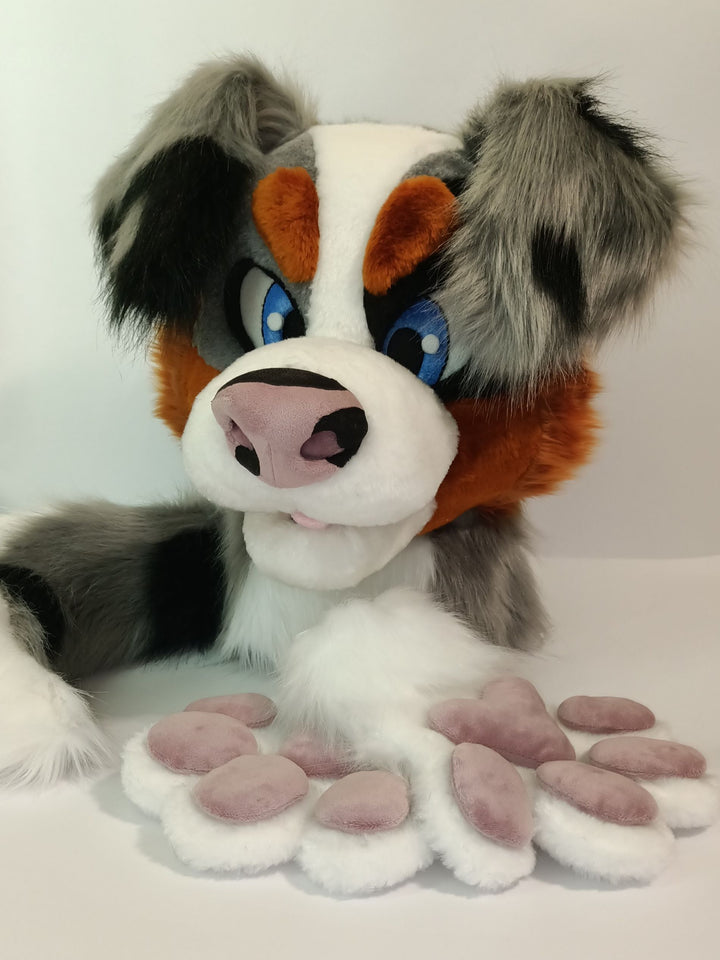 Grey Australian Shepherd Dog Fursuit Head, Hand Paws, Tail - Size M/L, PREMADE, US