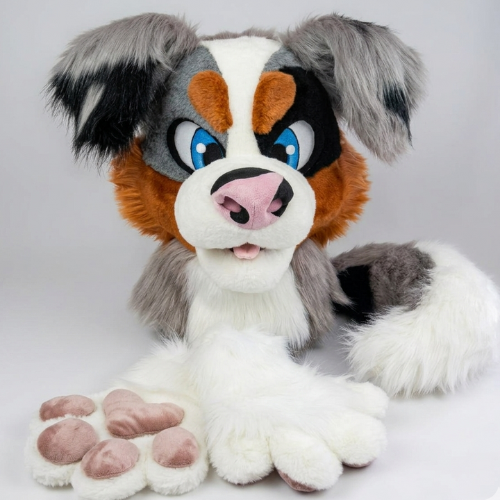Grey Australian Shepherd Dog Fursuit Head, Hand Paws, Tail - Size M/L, PREMADE, US
