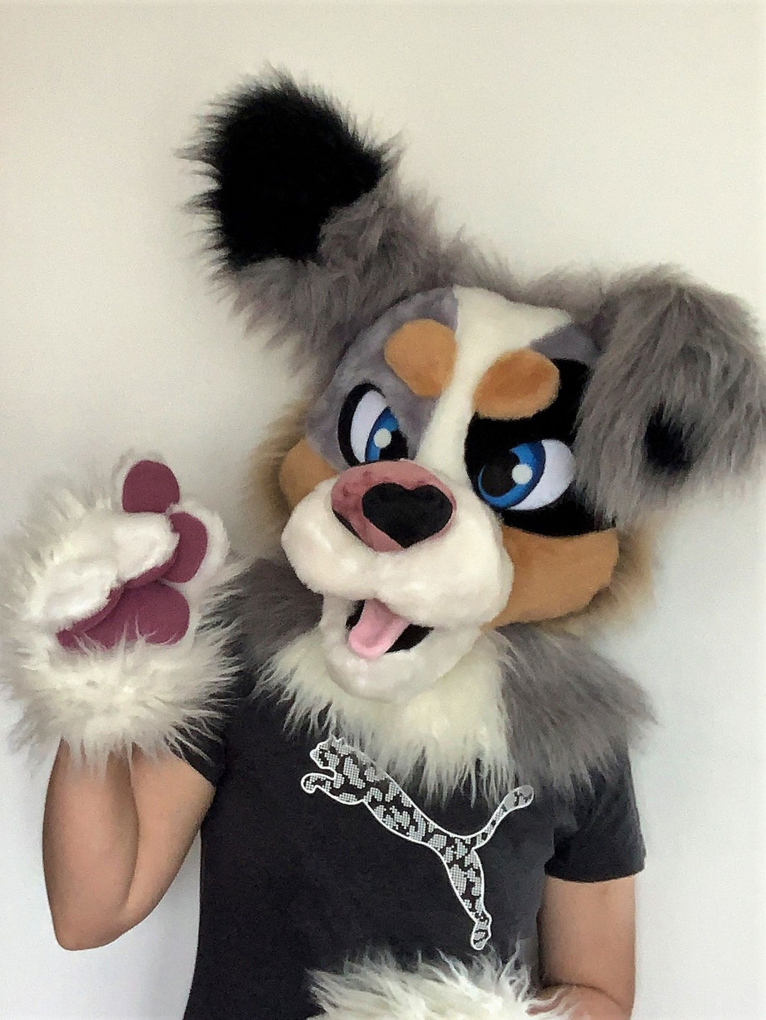 SPECIAL OFFER 10% OFF Grey australian shepherd dog fursuit head and hand paws for sale