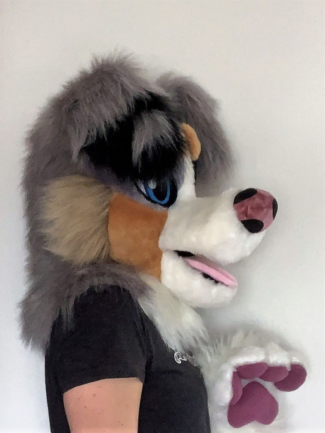 SPECIAL OFFER 10% OFF Grey australian shepherd dog fursuit head and hand paws for sale