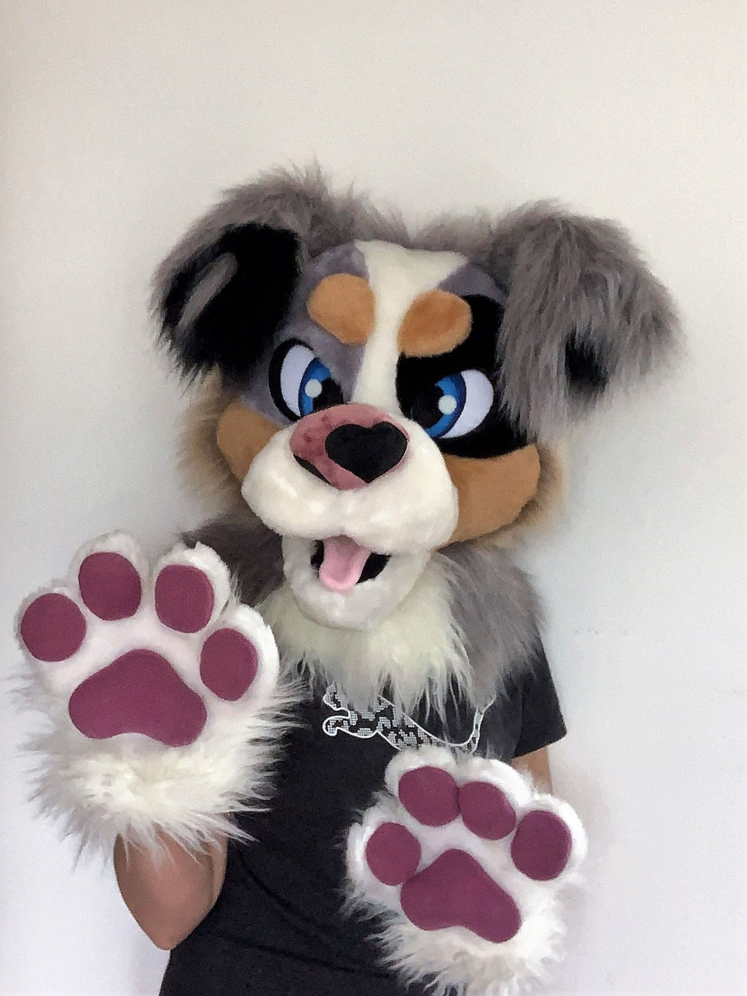 Grey australian shepherd dog fursuit head and hand paws for sale