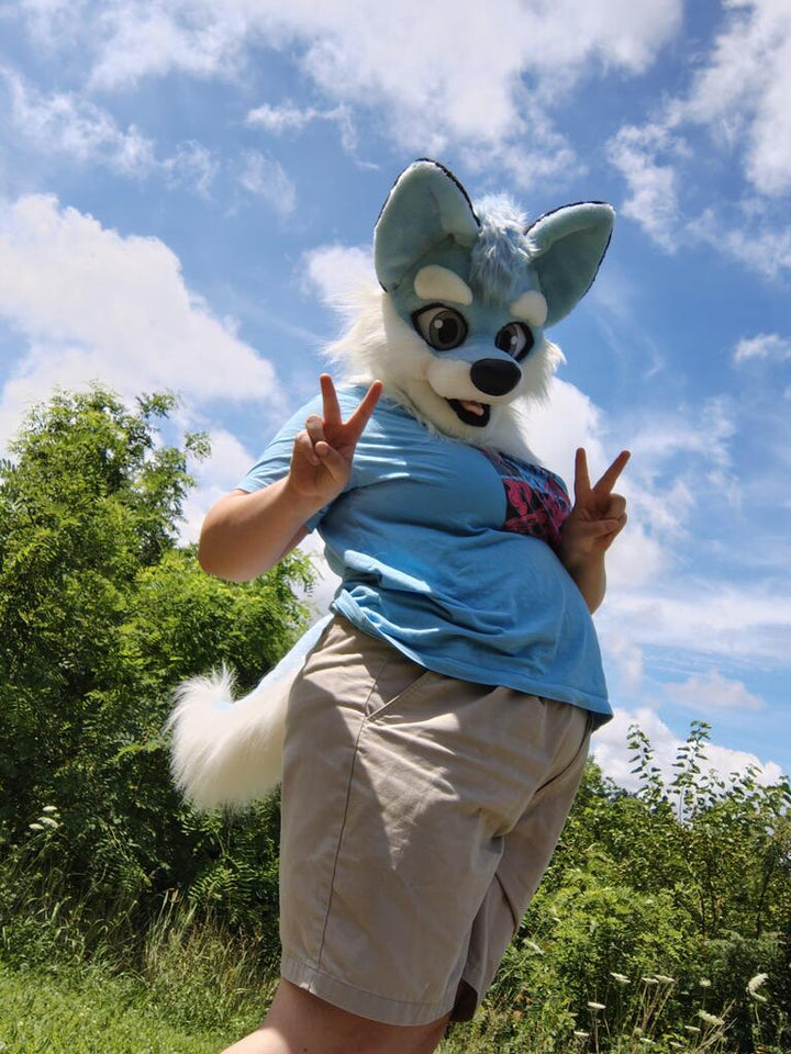 Blue Husky Dog Fursuit Set – Head & Tail, One Size M/L for Furry Cons & Cosplay