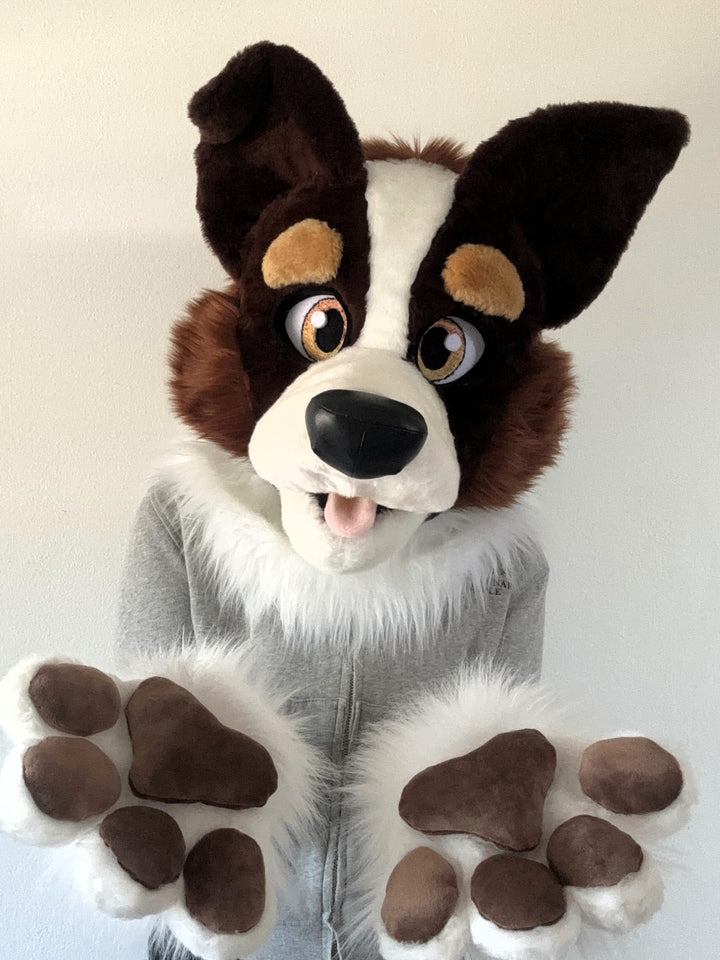 XL border collie fursuit head, hand paws and tail  5"9 (176cm) – 6”3 (190), K9 dog fursuit