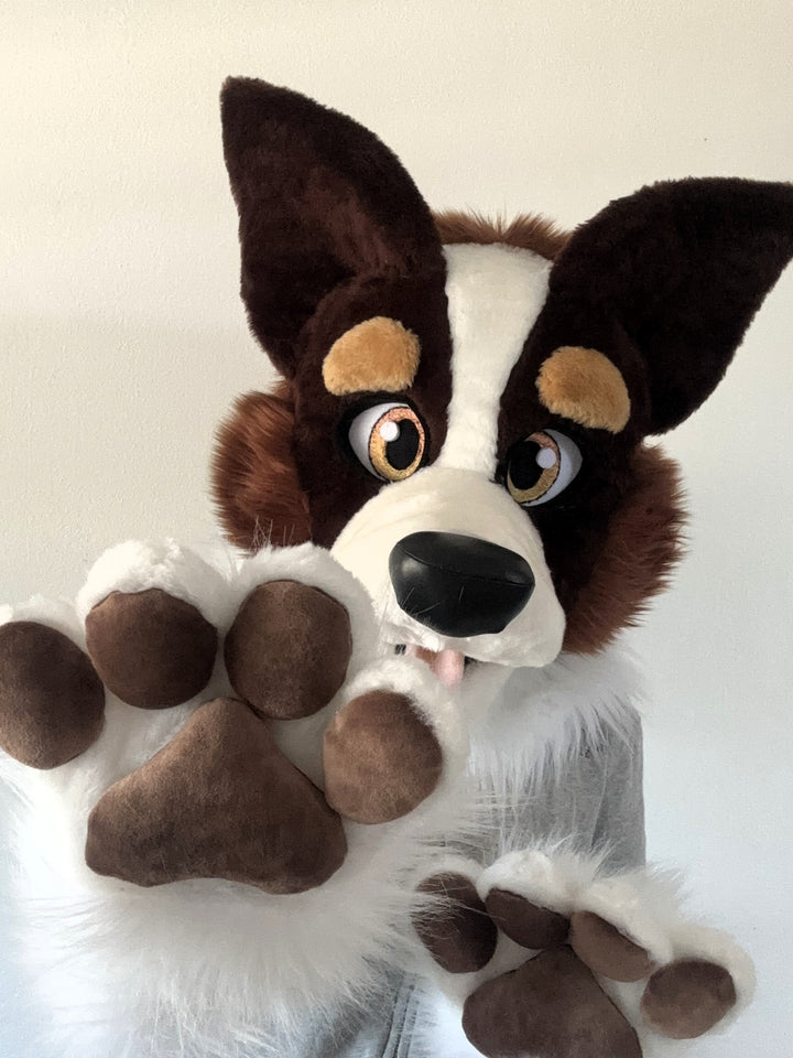 XL border collie fursuit head, hand paws and tail  5"9 (176cm) – 6”3 (190), K9 dog fursuit