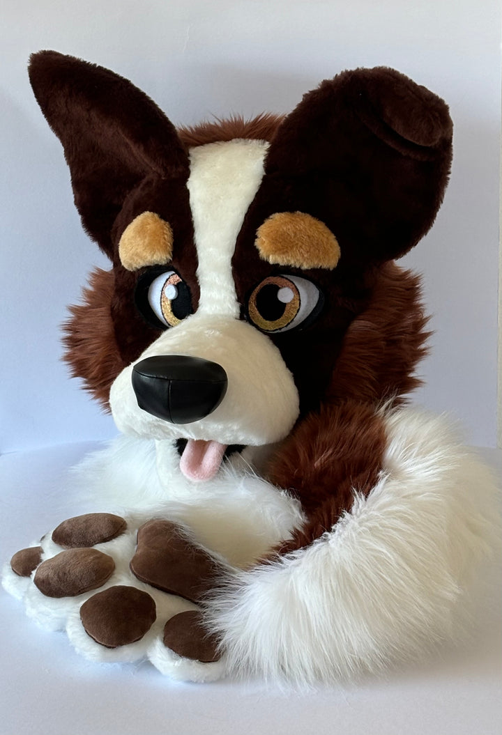 XL border collie fursuit head, hand paws and tail  5"9 (176cm) – 6”3 (190), K9 dog fursuit