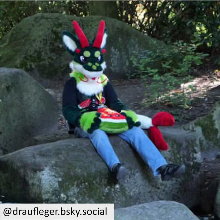 Dragon fursuit made to order