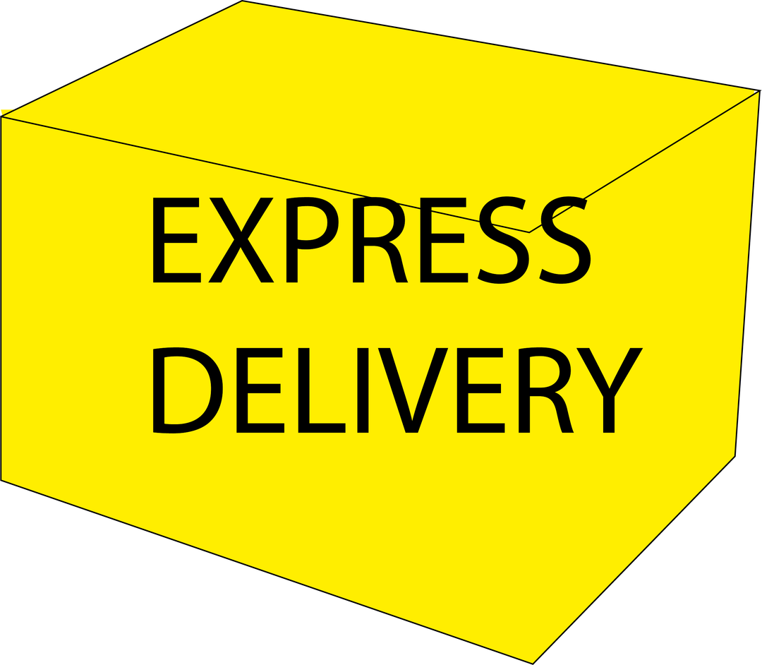 Express delivery 10 days