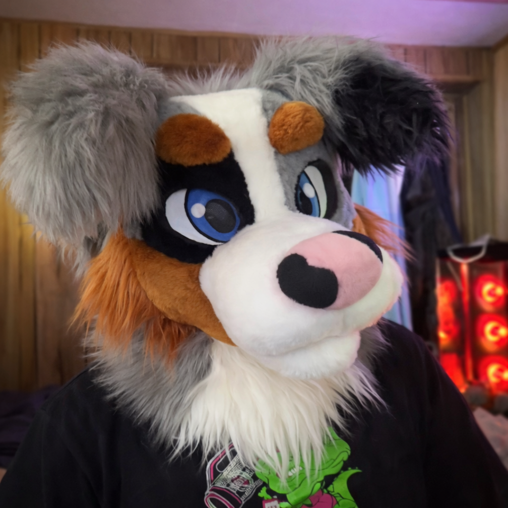 a person wearing gray ginger dog fursuit head