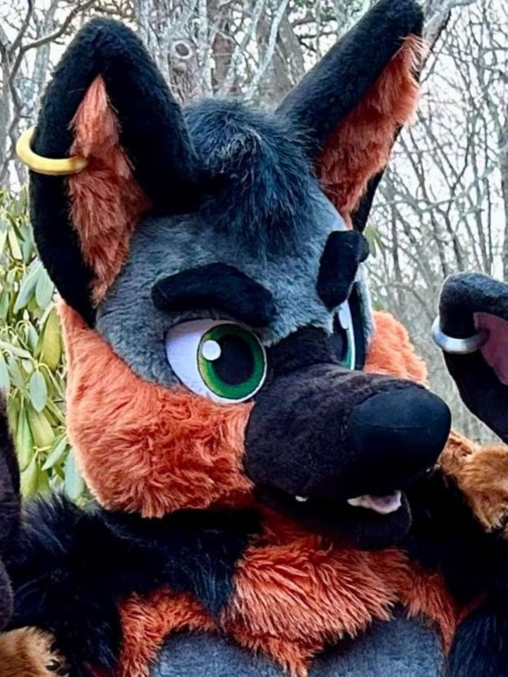 Ginger german shepherd dog fursuit plus size - head, hand paws and tail for sale