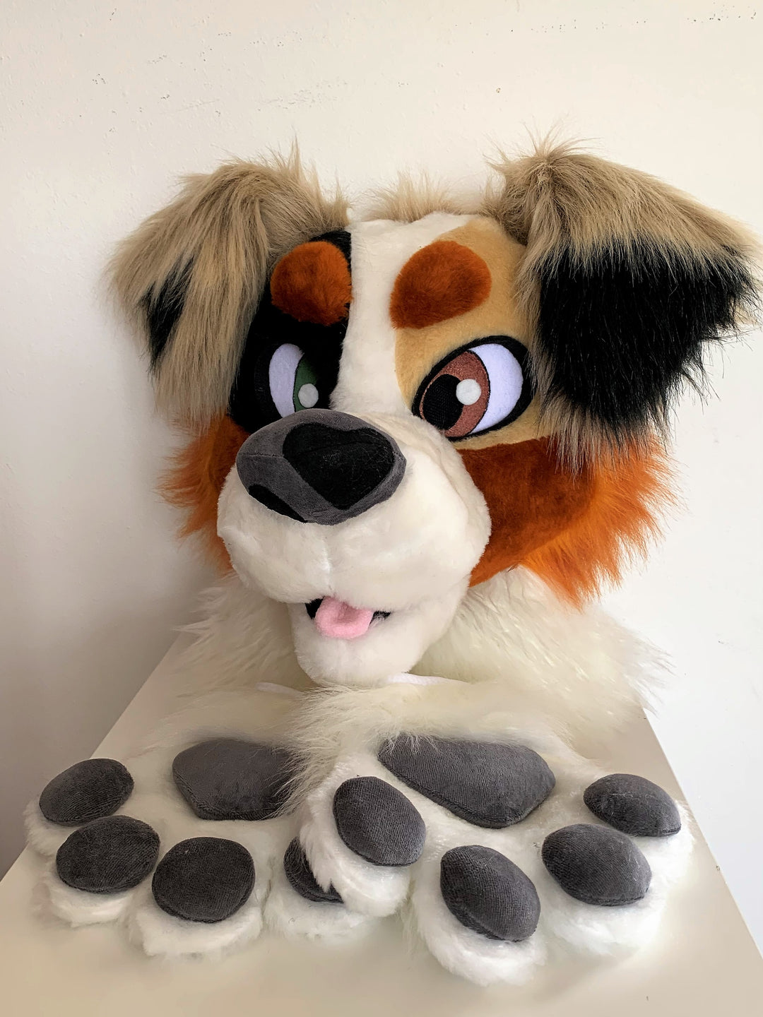 Beige australian shepherd dog fursuit head and handpaws for sale, aussi dog fursuit