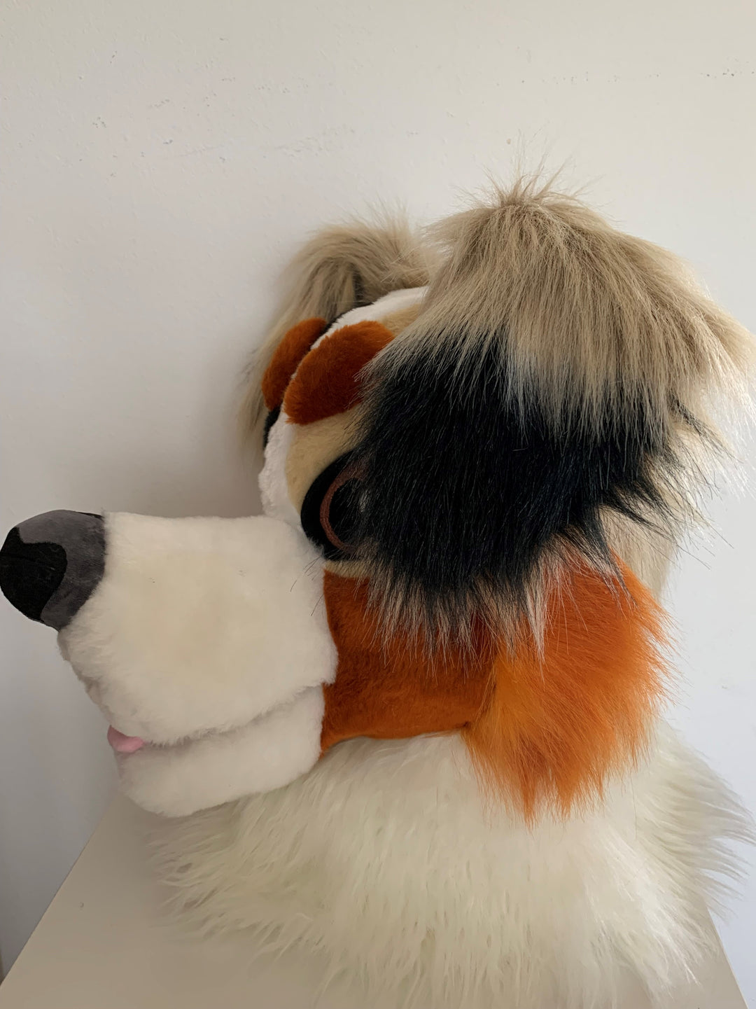 Beige australian shepherd dog fursuit head and handpaws for sale, aussi dog fursuit