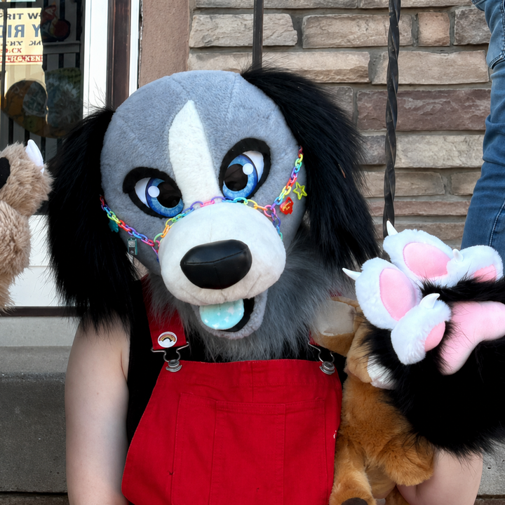 SALE! 25% OFF Gray Dog Fursuit Head and Tail - BASIC, size M/L PREMADE US