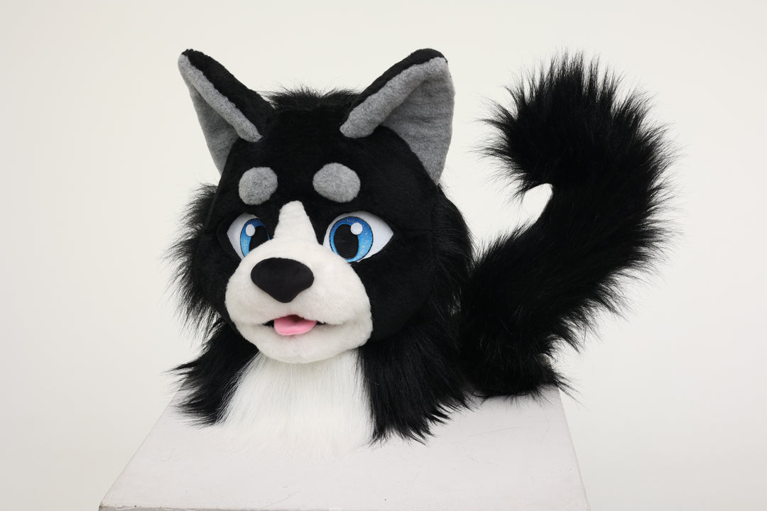 Black cat fursuit head and  tail 4"9 (145cm)-5"9 (176cm)