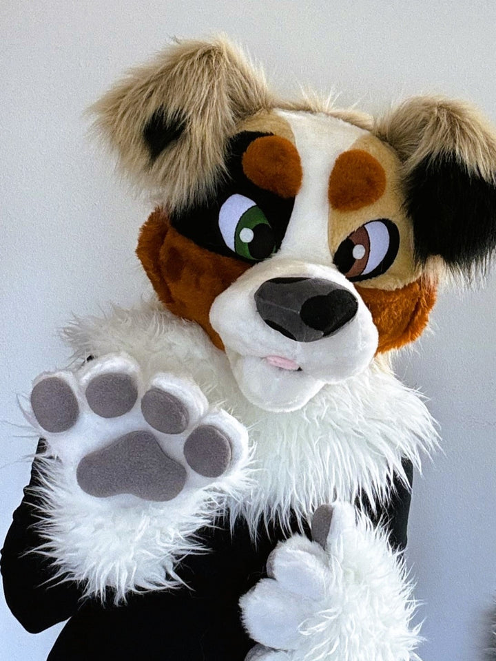 Beige australian shepherd dog fursuit head and handpaws for sale, aussi dog fursuit