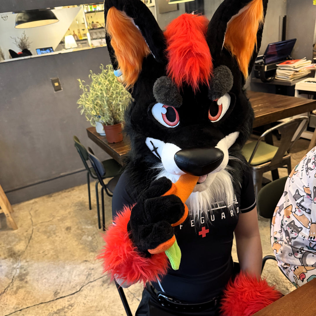 Black red wolf husky fursuit plus size - head, hand paws, tail for sale