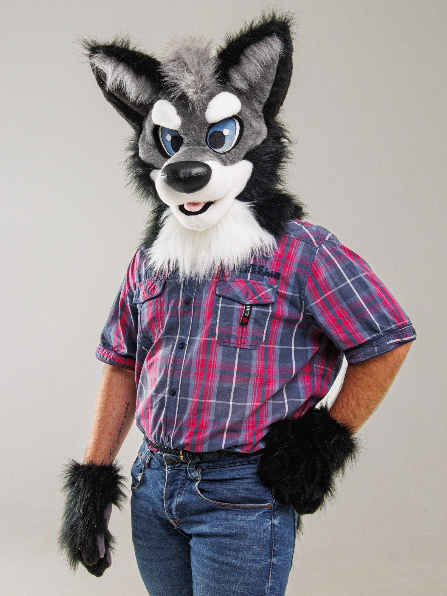 Cheap premade wolf husky fursuit head need gone