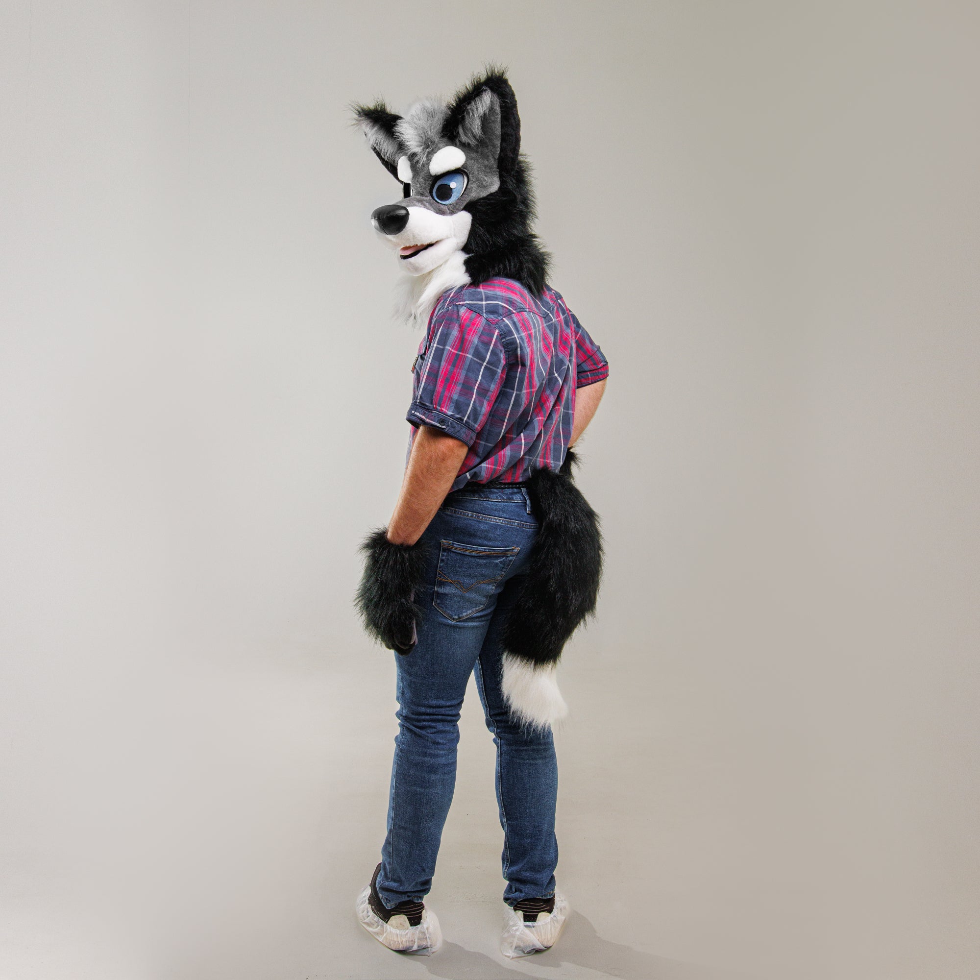 (NEED GONE) Wolf Fursuit Head order