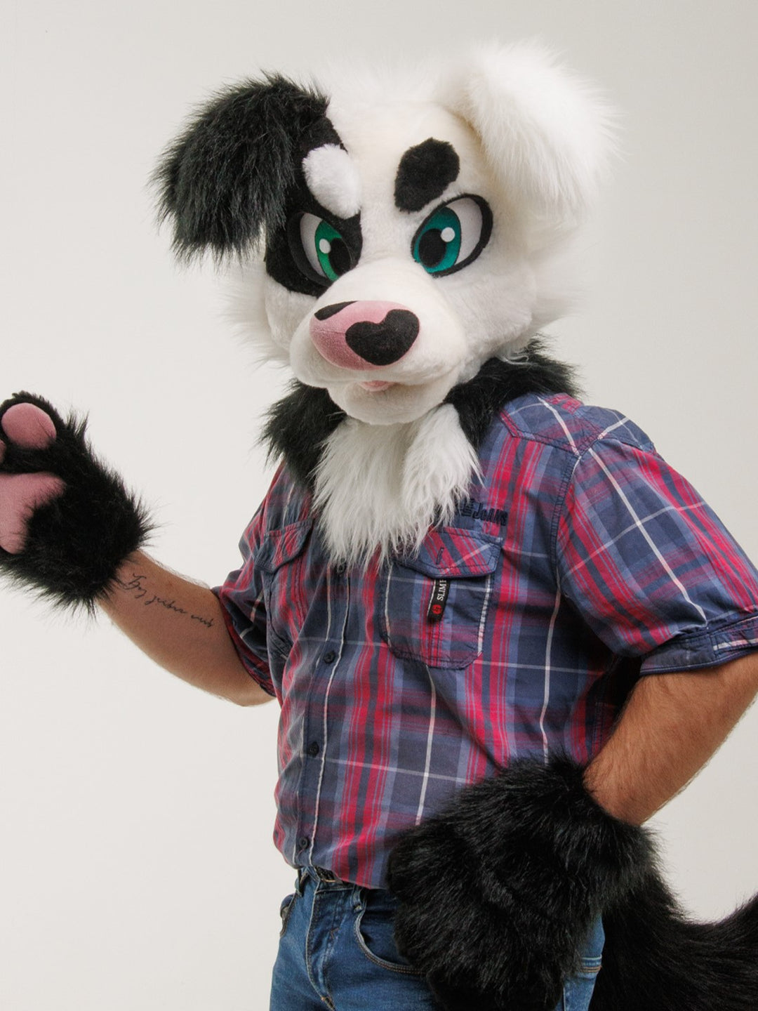a model wearing Premade border collie fursuit by fursuit maker Oneandon