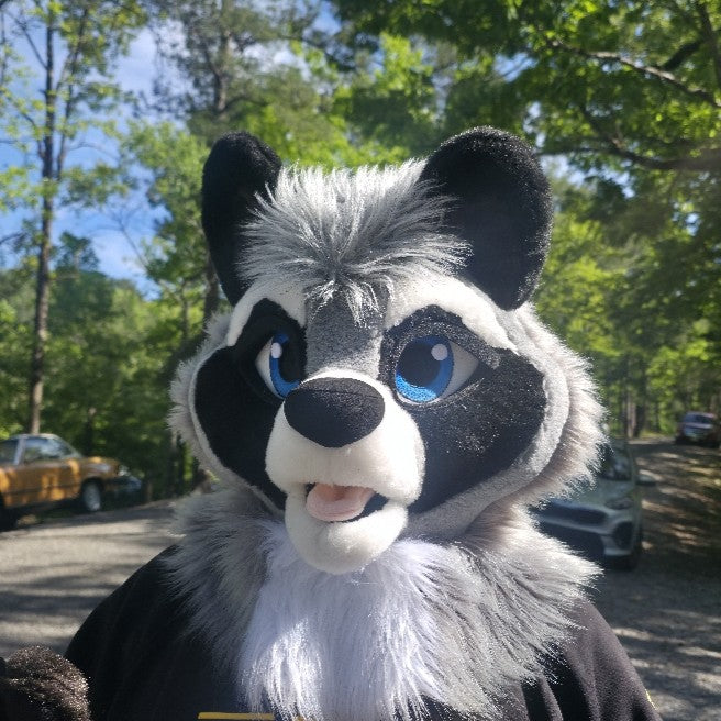 Raccoon Fursuit Head, Hand Paws and Tail, size M/L or XL, PREMADE/MTO UA