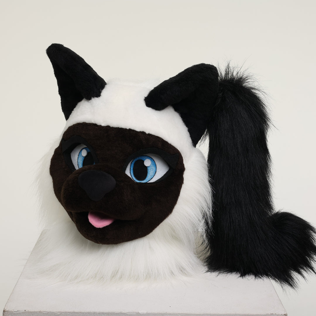 Siamese cat fursuit head and tail 4"9 (145cm)-5"9 (176cm)