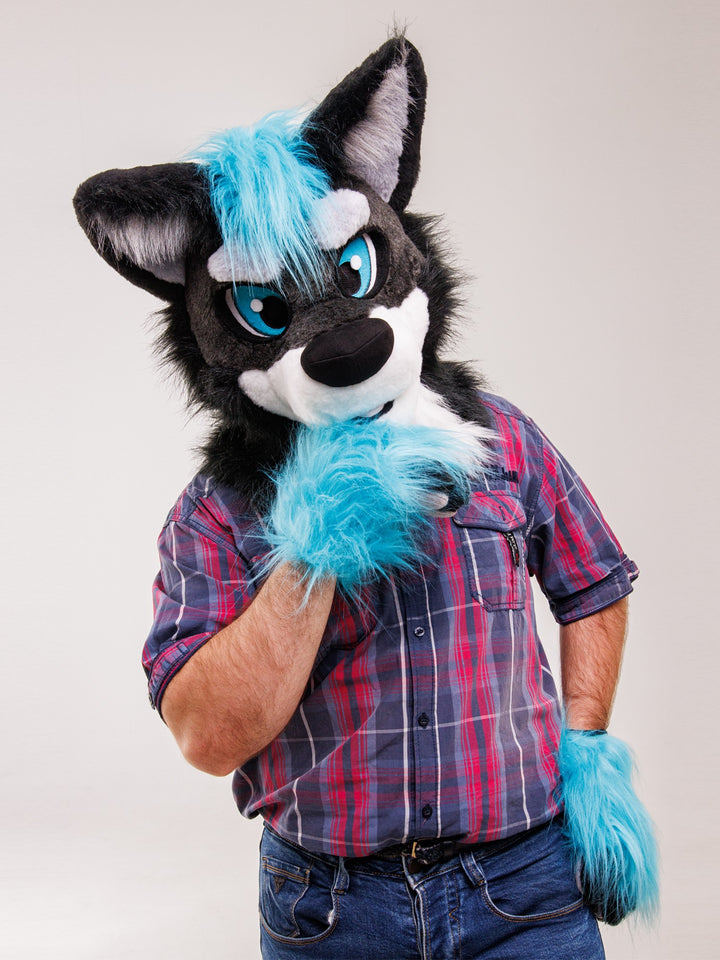 US only Black-turquoise wolf husky fursuit head, hand paws and tail, wolf furry suit, fur suit