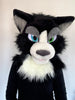 tuxedo cat fursona oneandonly costumes