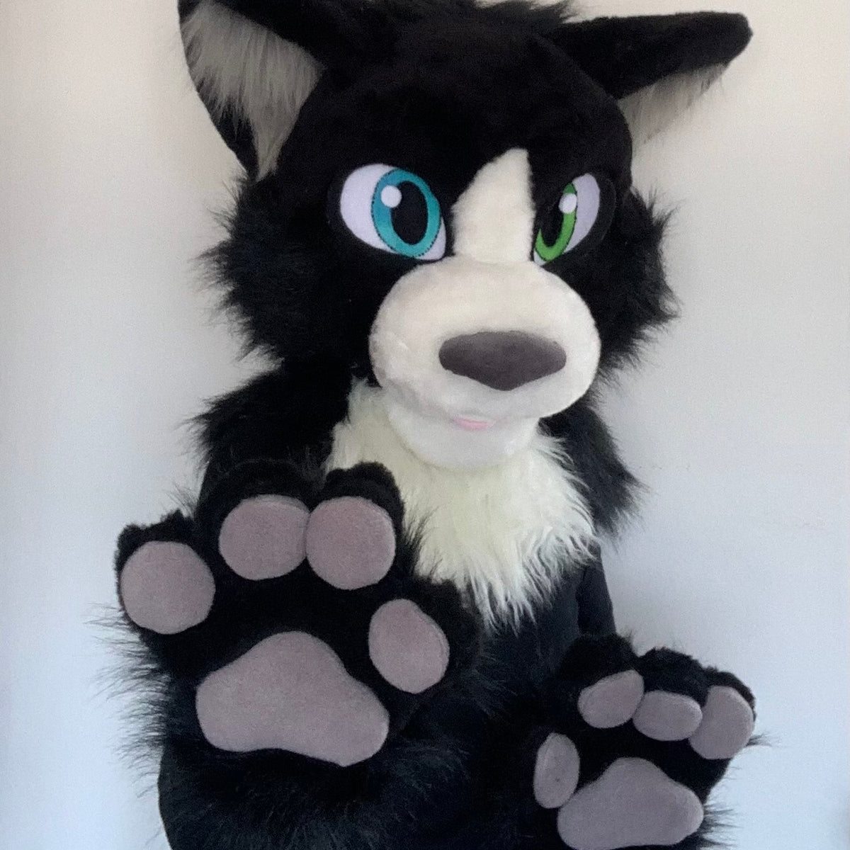 Tuxedo cat fursuit head and hand paws for sale - Oneandonlycostumes –  oneandonlycostumes