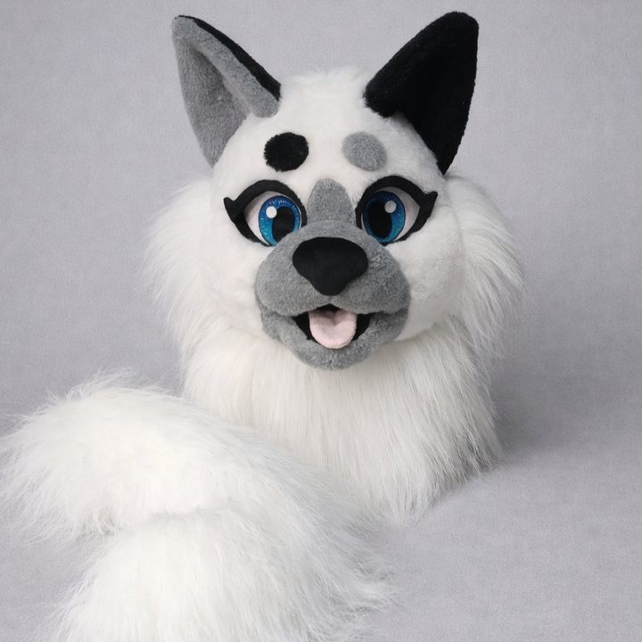 White  Cat Fursuit Head and  Tail - BASIC, size M/L PREMADE UA