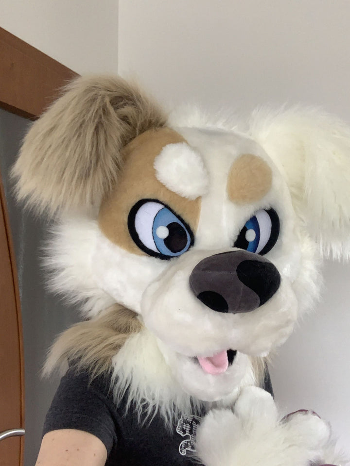 White Street Dog Fursuit Set – Head, Hand Paws & Tail, One Size M/L for Furry Cons & Cosplay
