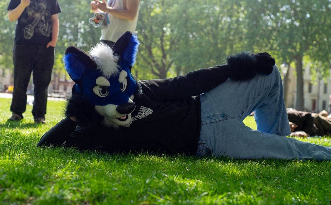 Blue wolf husky fursuit plus size - head, hand paws, tail for sale