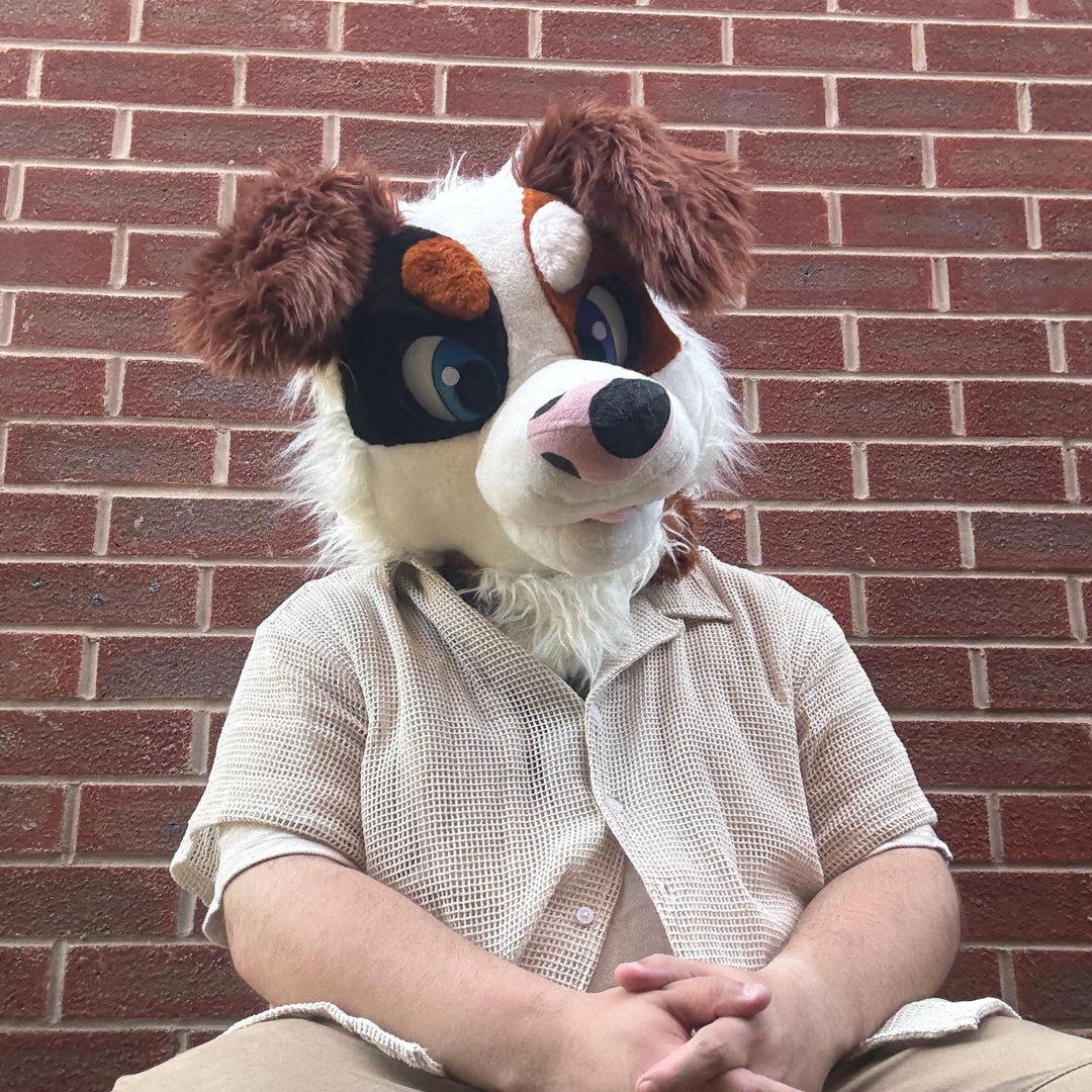 Brown Street Dog Fursuit Set – Head, Hand Paws & Tail, One Size M/L for Furry Cons & Cosplay
