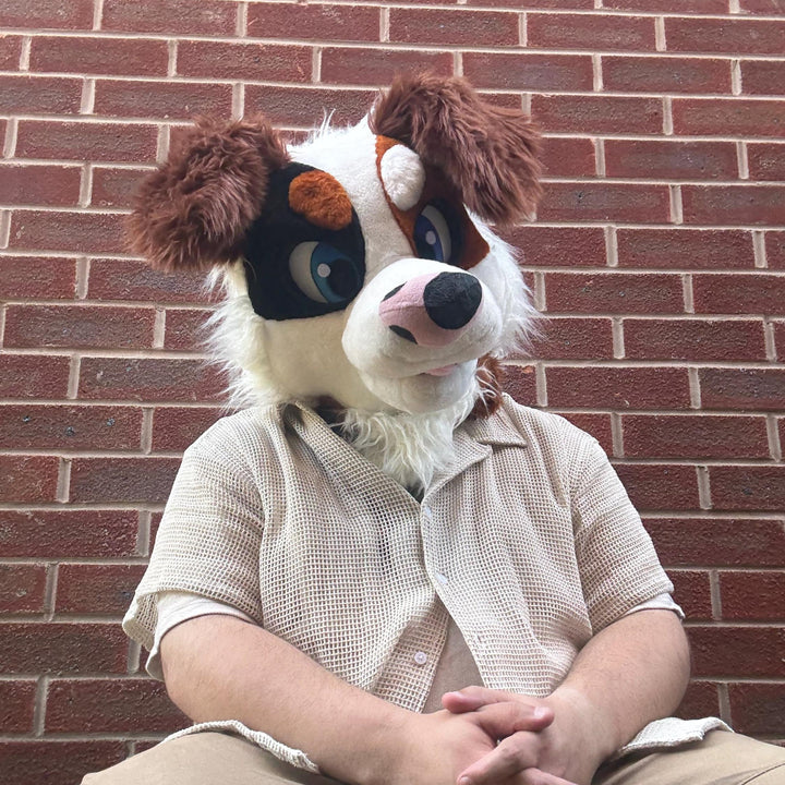 Brown Street Dog Fursuit Set – Head, Hand Paws & Tail, One Size M/L for Furry Cons & Cosplay