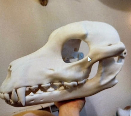 Custom order - skull wolf