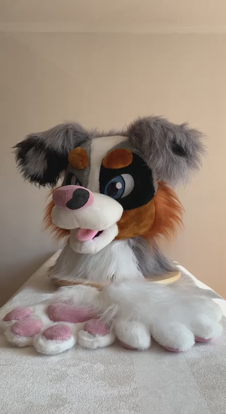 SPECIAL OFFER 10% OFF Grey australian shepherd dog fursuit head and hand paws for sale