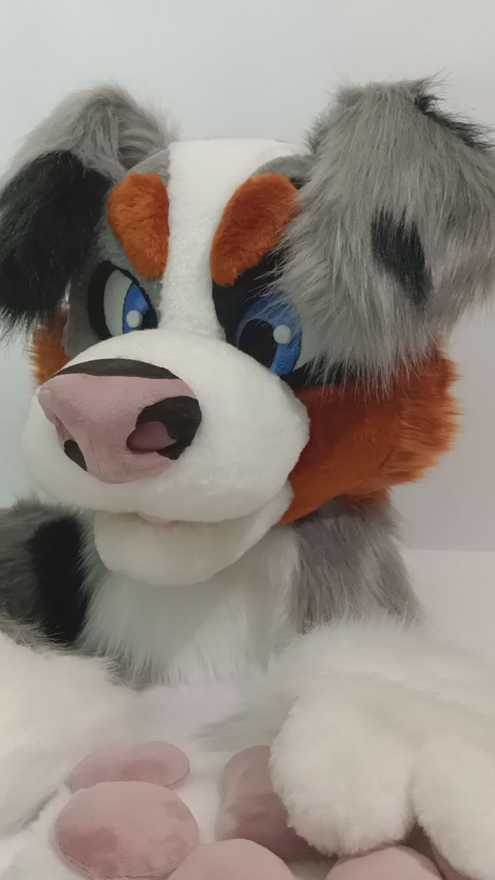 Grey Australian Shepherd Dog Fursuit Head, Hand Paws, Tail - Size M/L, PREMADE, US